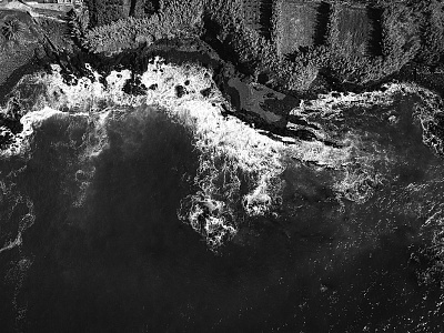 Фотообои Bird see 14, BIRD SEE, Wall street