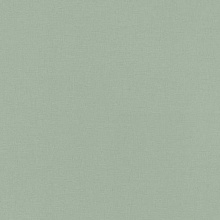 Rasch Rhapsody 690743