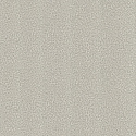 19027