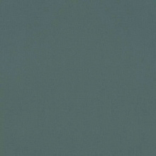 Rasch Rhapsody 690750