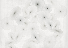 Фотообои Factura CREATIVE WAGASA 1