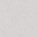 TS10022