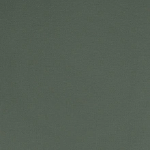 Зелёные обои в прихожую Alessandro Allori Rebecca 15007-16